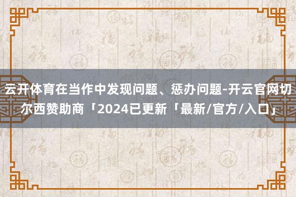 云开体育在当作中发现问题、惩办问题-开云官网切尔西赞助商「2024已更新「最新/官方/入口」